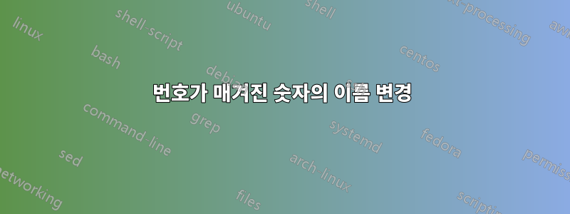 번호가 매겨진 숫자의 이름 변경