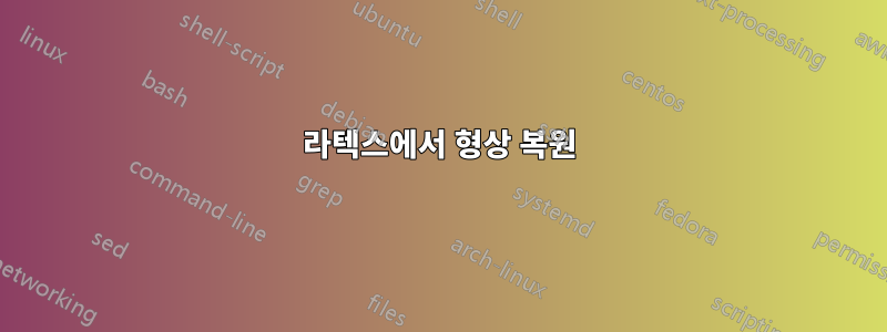 라텍스에서 형상 복원