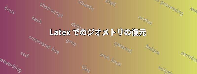 Latex でのジオメトリの復元