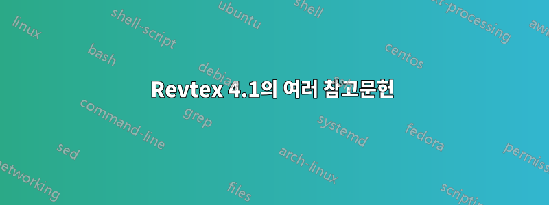 Revtex 4.1의 여러 참고문헌