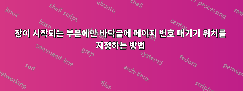 장이 시작되는 부분에만 바닥글에 페이지 번호 매기기 위치를 지정하는 방법