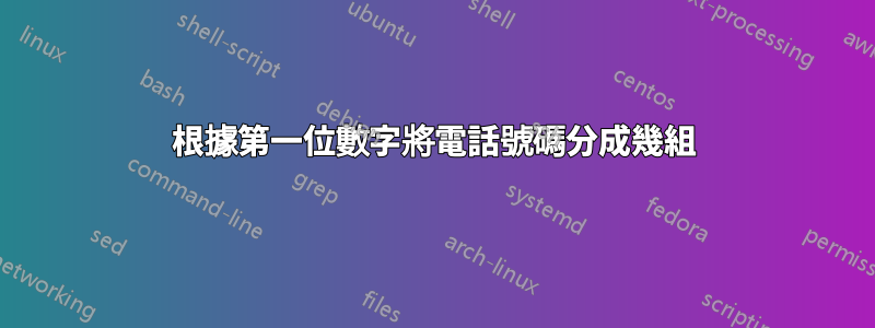 根據第一位數字將電話號碼分成幾組