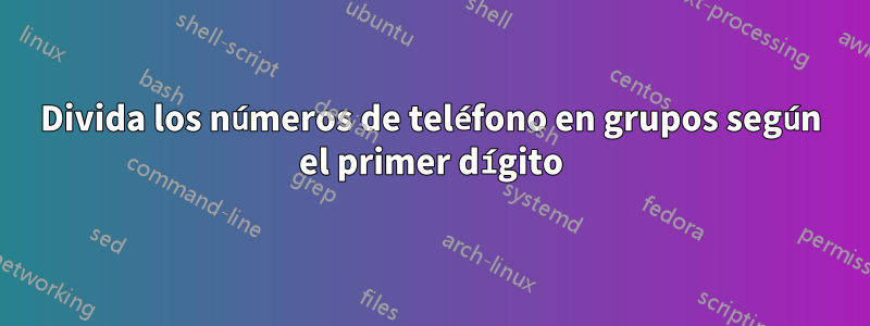 Divida los números de teléfono en grupos según el primer dígito