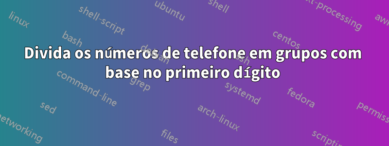 Divida os números de telefone em grupos com base no primeiro dígito