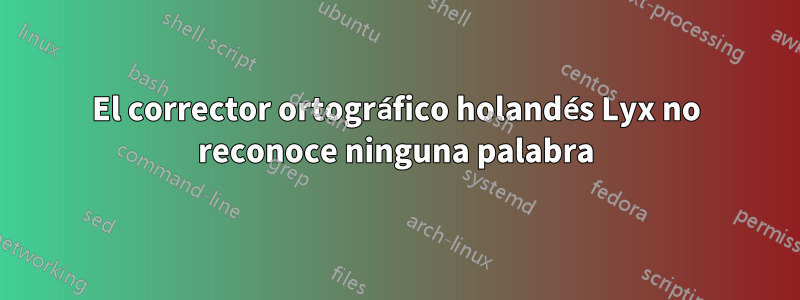 El corrector ortográfico holandés Lyx no reconoce ninguna palabra