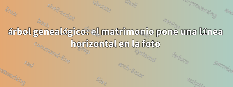 árbol genealógico: el matrimonio pone una línea horizontal en la foto