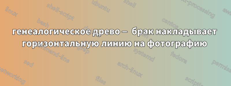 генеалогическое древо — брак накладывает горизонтальную линию на фотографию