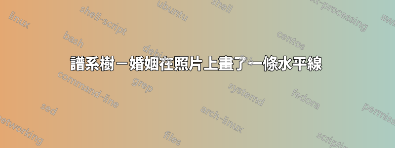 譜系樹－婚姻在照片上畫了一條水平線