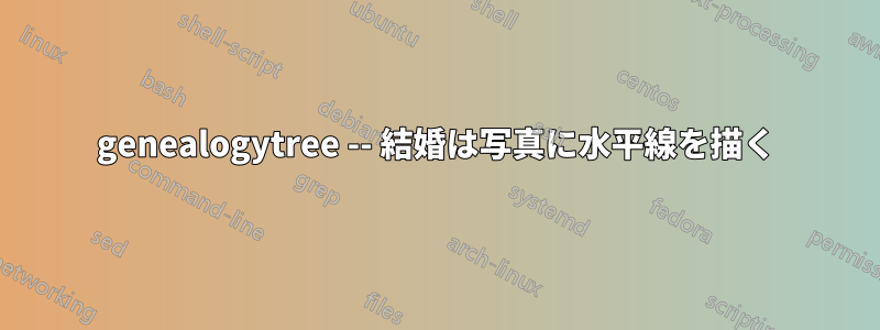 genealogytree -- 結婚は写真に水平線を描く