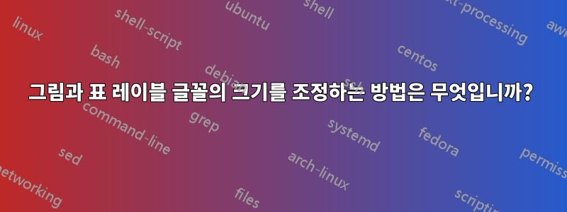 그림과 표 레이블 글꼴의 크기를 조정하는 방법은 무엇입니까?