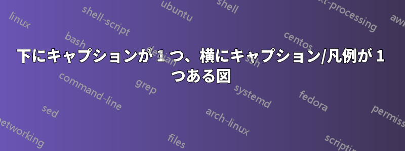 下にキャプションが 1 つ、横にキャプション/凡例が 1 つある図