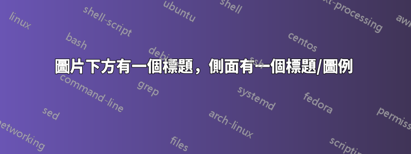 圖片下方有一個標題，側面有一個標題/圖例