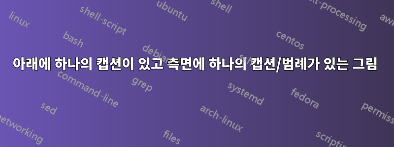 아래에 하나의 캡션이 있고 측면에 하나의 캡션/범례가 있는 그림