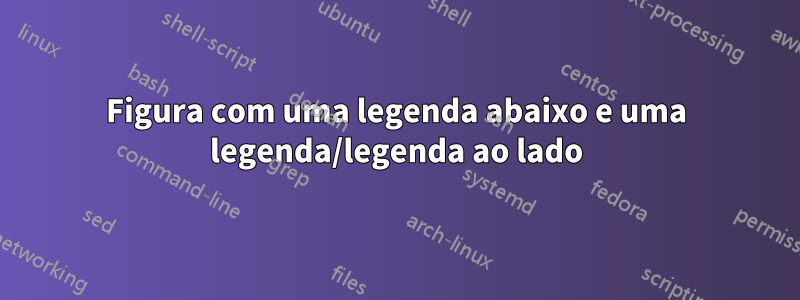 Figura com uma legenda abaixo e uma legenda/legenda ao lado