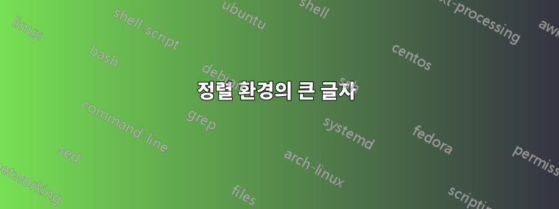 정렬 환경의 큰 글자