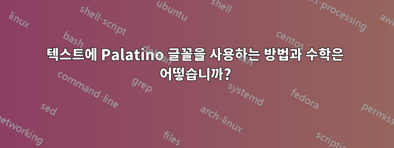 텍스트에 Palatino 글꼴을 사용하는 방법과 수학은 어떻습니까?