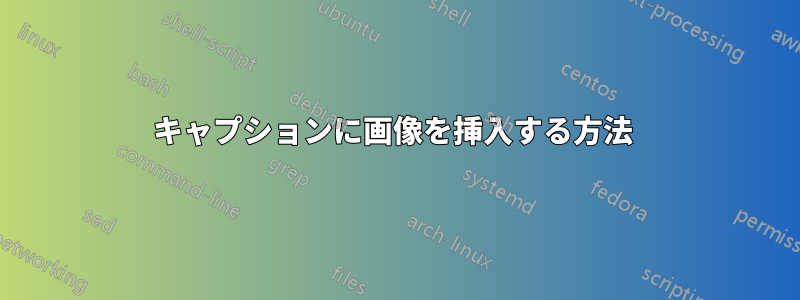 キャプションに画像を挿入する方法 