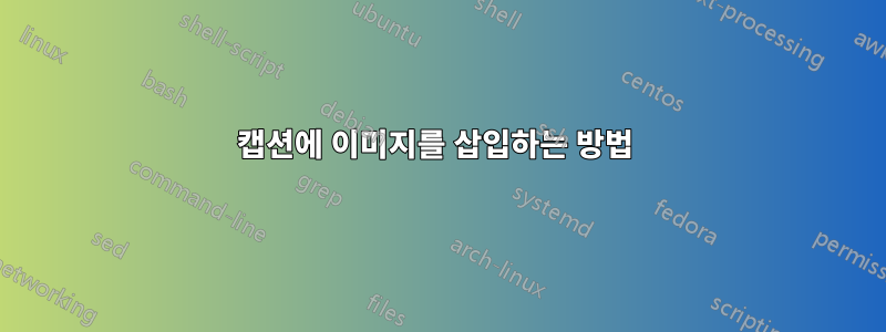 캡션에 이미지를 삽입하는 방법 