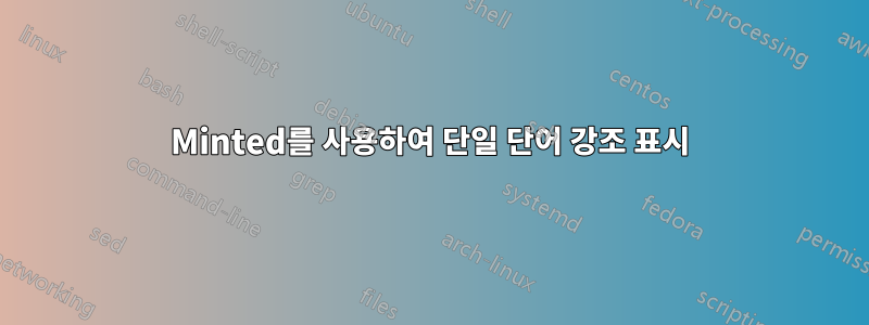 Minted를 사용하여 단일 단어 강조 표시