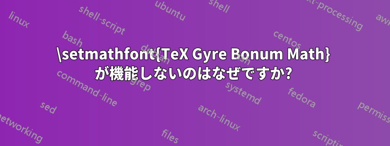 \setmathfont{TeX Gyre Bonum Math} が機能しないのはなぜですか?