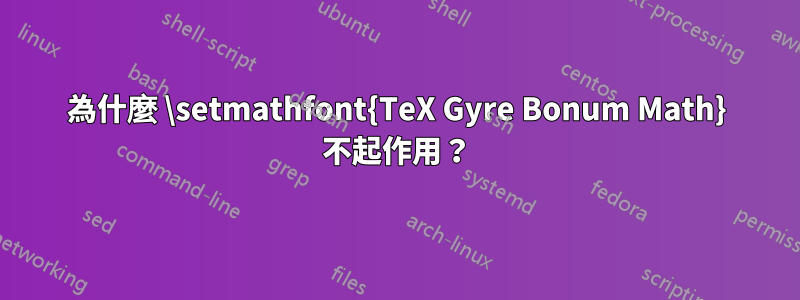為什麼 \setmathfont{TeX Gyre Bonum Math} 不起作用？