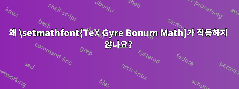 왜 \setmathfont{TeX Gyre Bonum Math}가 작동하지 않나요?