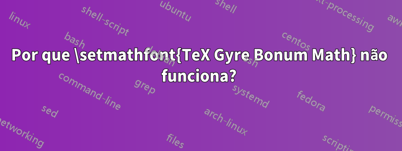Por que \setmathfont{TeX Gyre Bonum Math} não funciona?