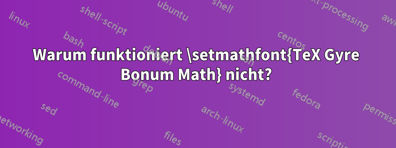 Warum funktioniert \setmathfont{TeX Gyre Bonum Math} nicht?