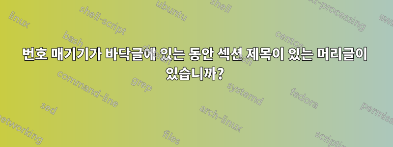 번호 매기기가 바닥글에 있는 동안 섹션 제목이 있는 머리글이 있습니까?
