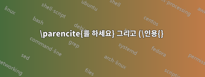 \parencite{를 하세요} 그리고 (\인용{}) 같은 것을 생산합니까?