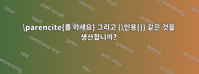 \parencite{를 하세요} 그리고 (\인용{}) 같은 것을 생산합니까?