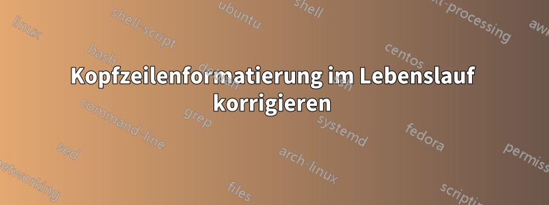 Kopfzeilenformatierung im Lebenslauf korrigieren