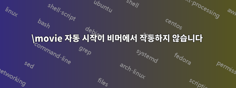 \movie 자동 시작이 비머에서 작동하지 않습니다