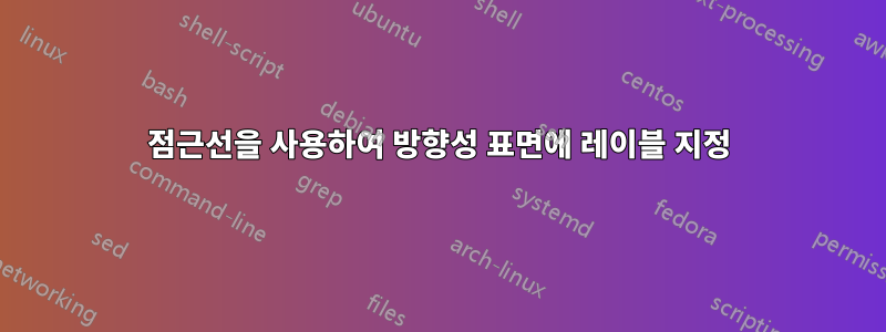 점근선을 사용하여 방향성 표면에 레이블 지정