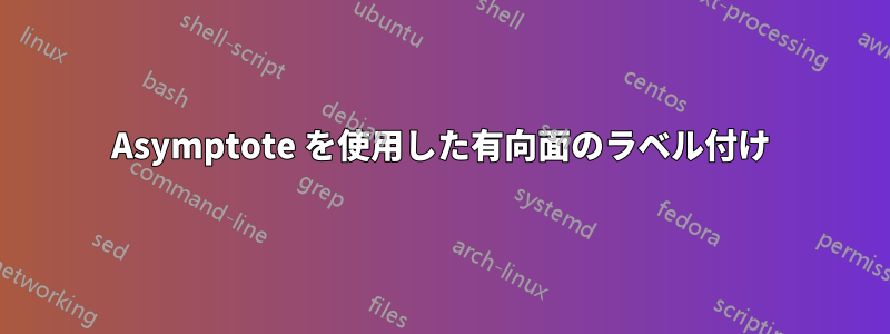 Asymptote を使用した有向面のラベル付け