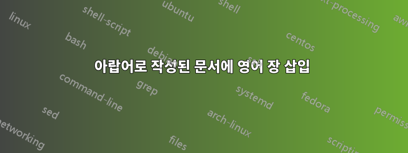 아랍어로 작성된 문서에 영어 장 삽입