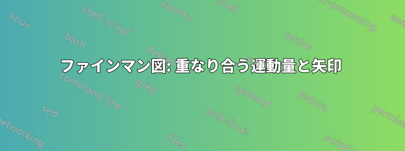 ファインマン図: 重なり合う運動量と矢印