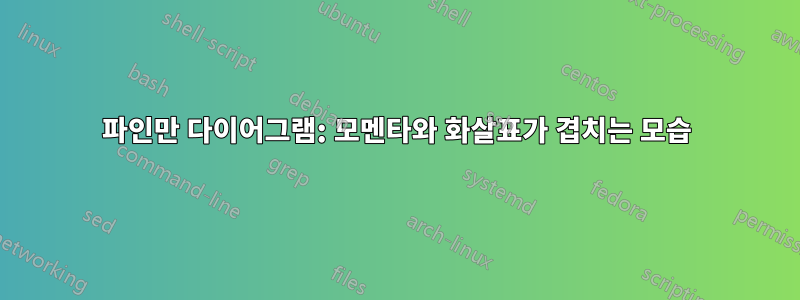 파인만 다이어그램: 모멘타와 화살표가 겹치는 모습