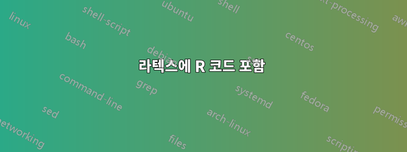 라텍스에 R 코드 포함