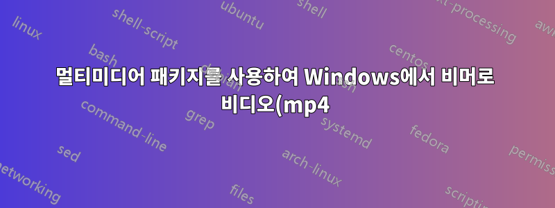 멀티미디어 패키지를 사용하여 Windows에서 비머로 비디오(mp4) 읽기