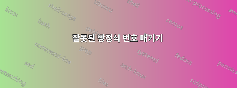 잘못된 방정식 번호 매기기