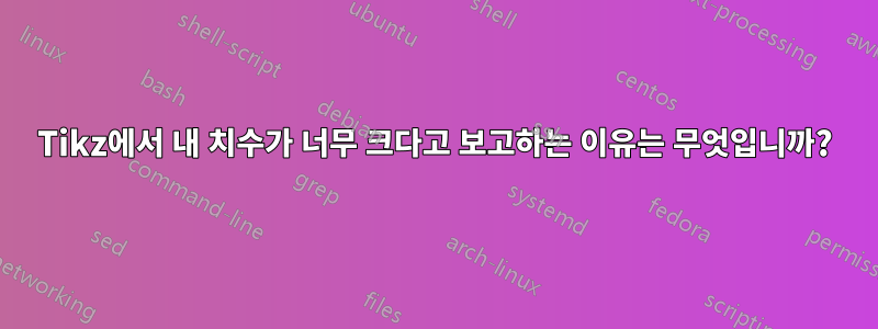 Tikz에서 내 치수가 너무 크다고 보고하는 이유는 무엇입니까?
