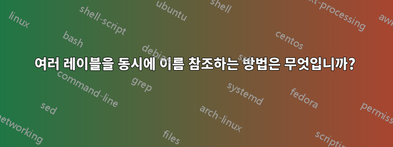 여러 레이블을 동시에 이름 참조하는 방법은 무엇입니까?