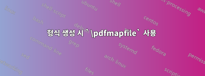 형식 생성 시 `\pdfmapfile` 사용