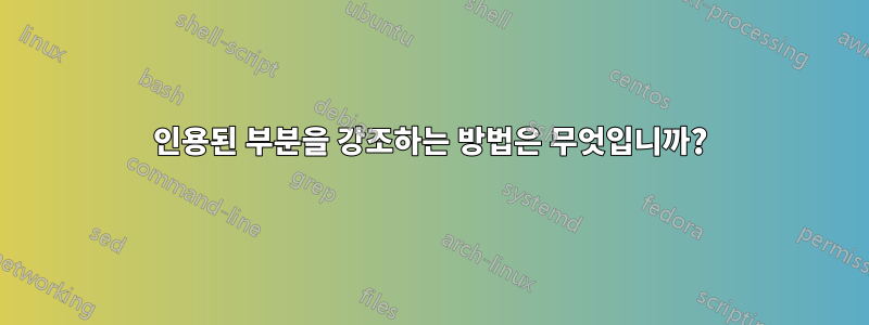 인용된 부분을 강조하는 방법은 무엇입니까?