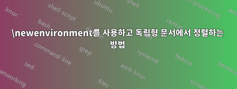 \newenvironment를 사용하고 독립형 문서에서 정렬하는 방법