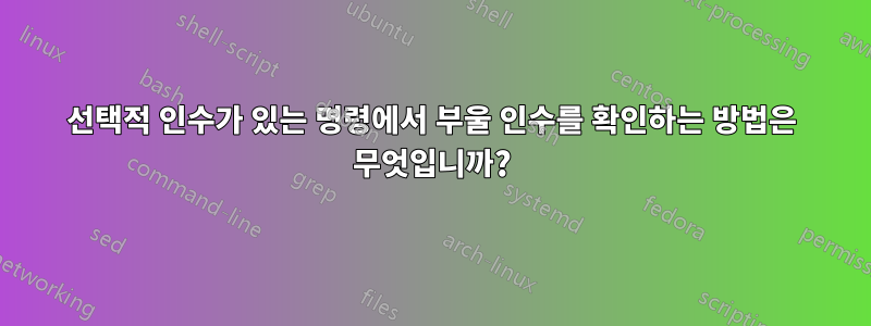 선택적 인수가 있는 명령에서 부울 인수를 확인하는 방법은 무엇입니까?
