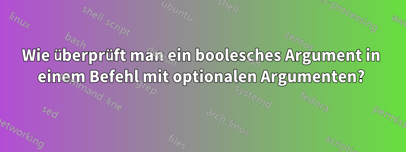 Wie überprüft man ein boolesches Argument in einem Befehl mit optionalen Argumenten?