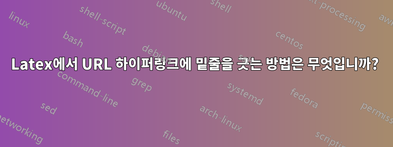 Latex에서 URL 하이퍼링크에 밑줄을 긋는 방법은 무엇입니까?