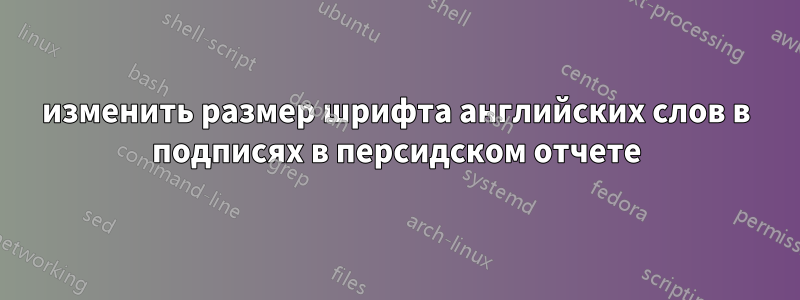 изменить размер шрифта английских слов в подписях в персидском отчете